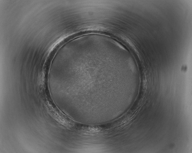 X0000115610975200912011547
