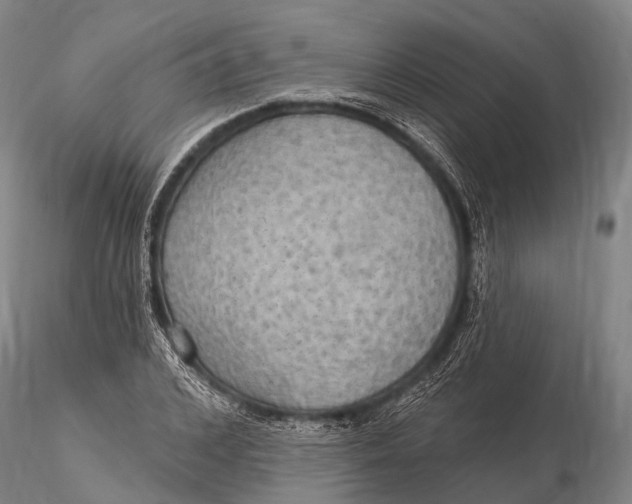 X0000115610976200912011547