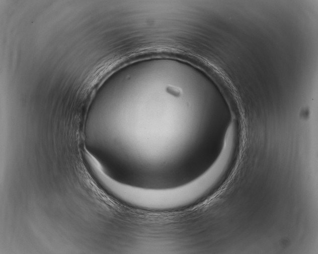 X0000115610977200912011547