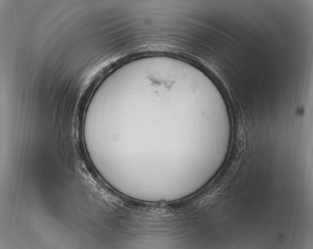 X0000115610979200912011546