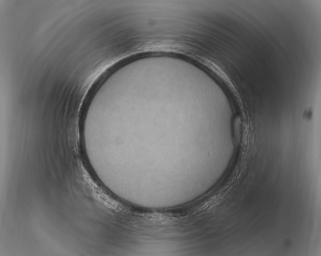X0000115610980200912011546