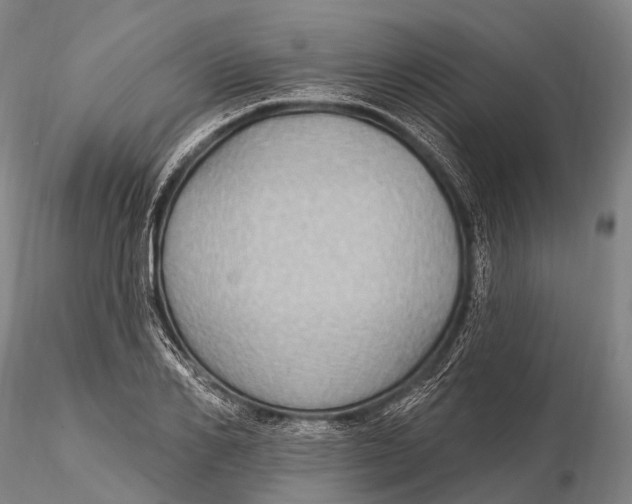 X0000115610982200912011546