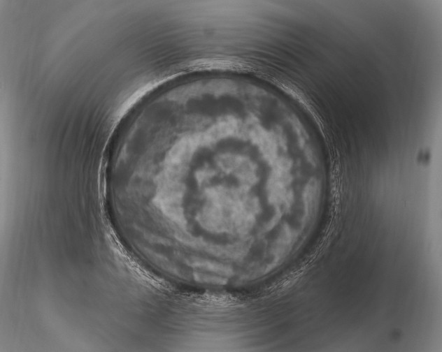 X0000115610983200912011546