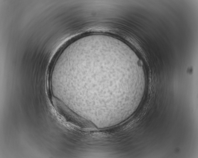 X0000115610984200912011546