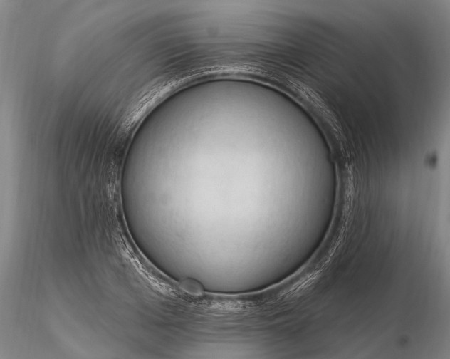 X0000115610985200912011546