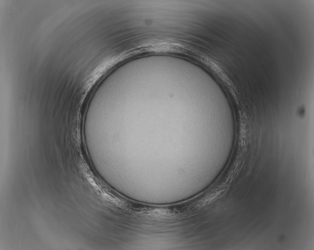 X0000115610986200912011546