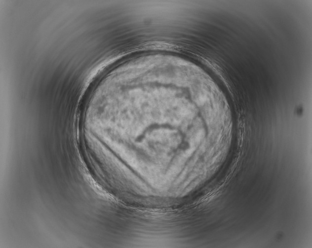 X0000115610987200912011546