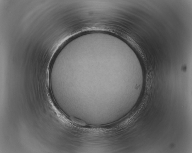 X0000115610988200912011546