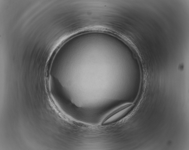 X0000115610989200912011546