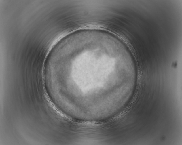 X0000115610990200912011546