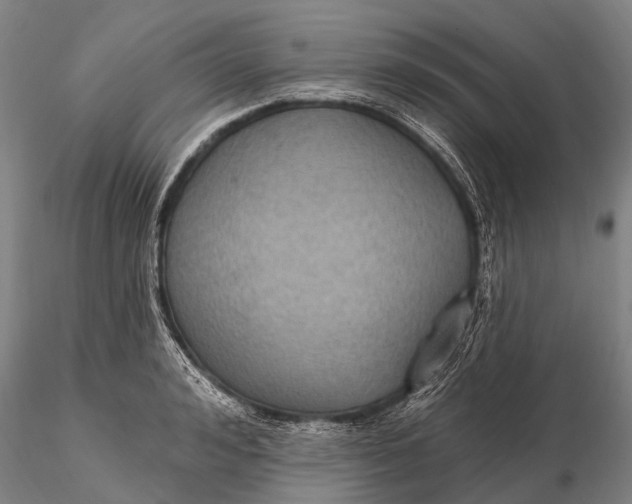 X0000115610992200912011546