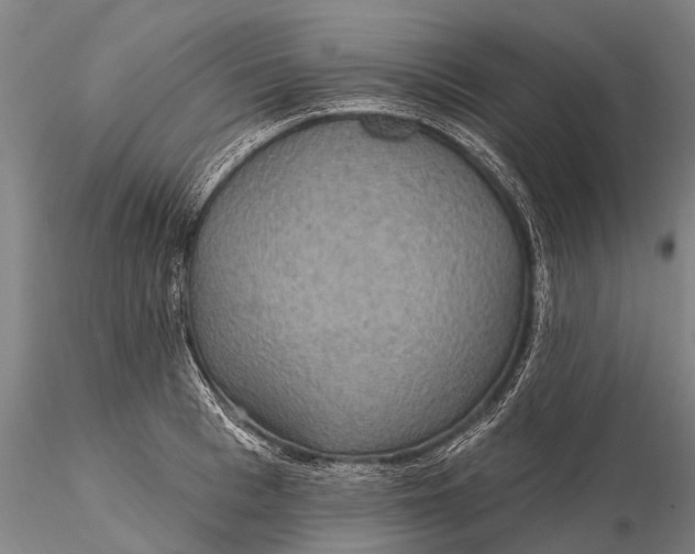 X0000115610993200912011546