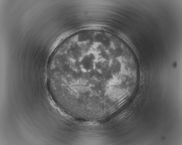 X0000115610994200912011546