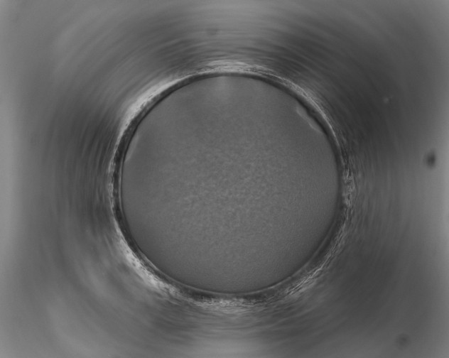 X0000115610995200912011546
