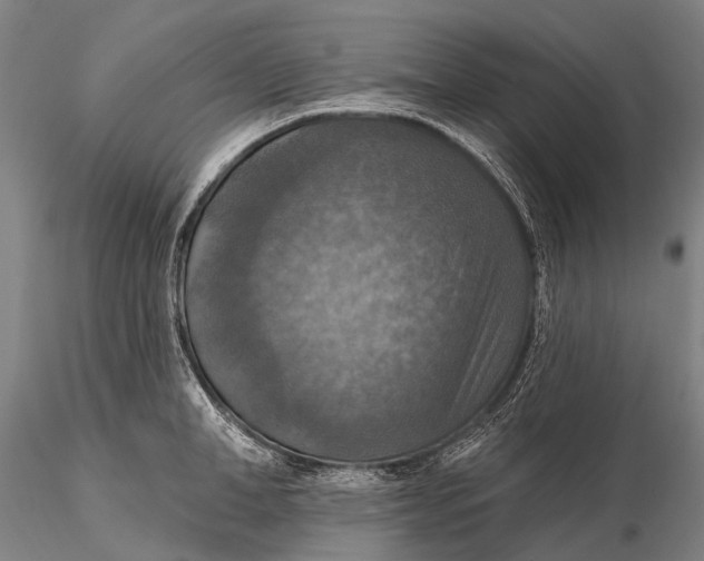 X0000115610998200912011546