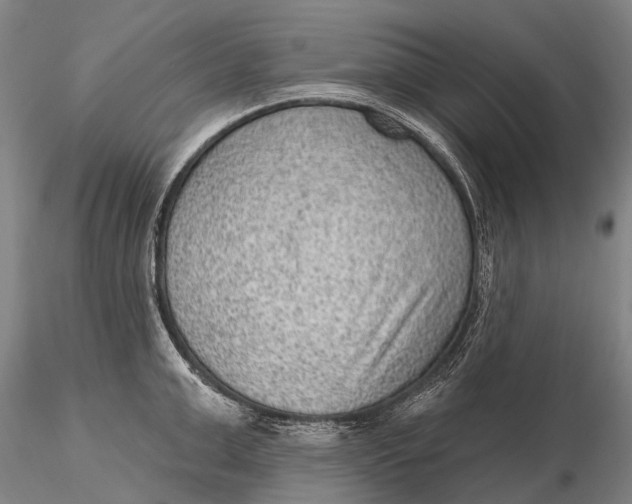 X0000115610999200912011546