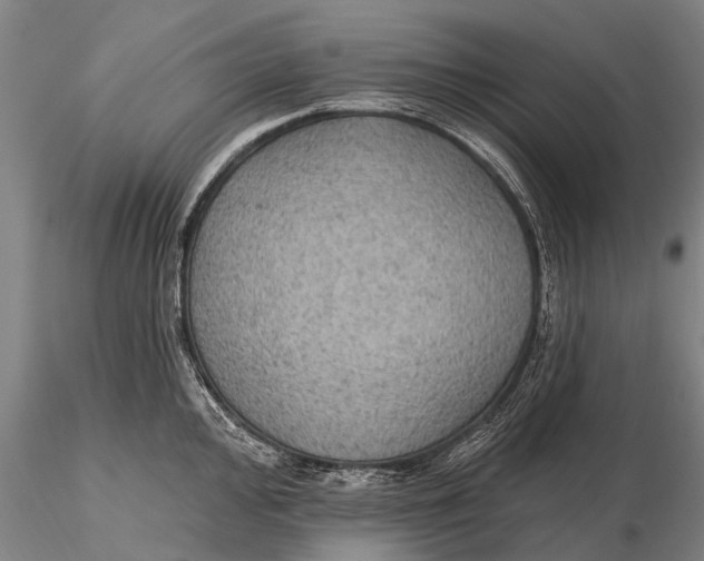 X0000115611000200912011546