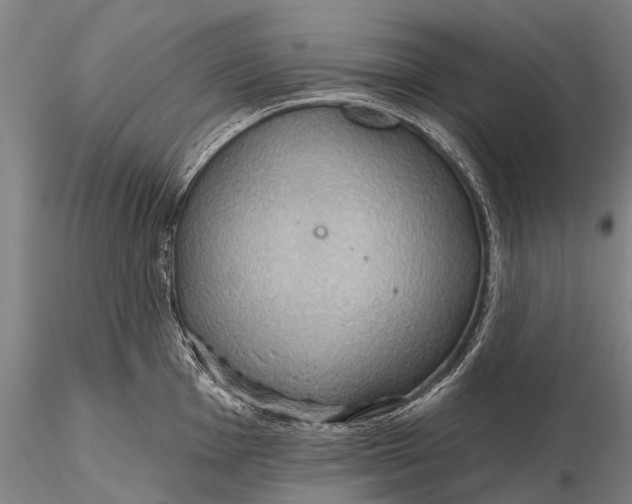 X0000115611001200912011546