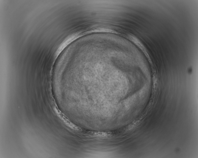 X0000115611002200912011546