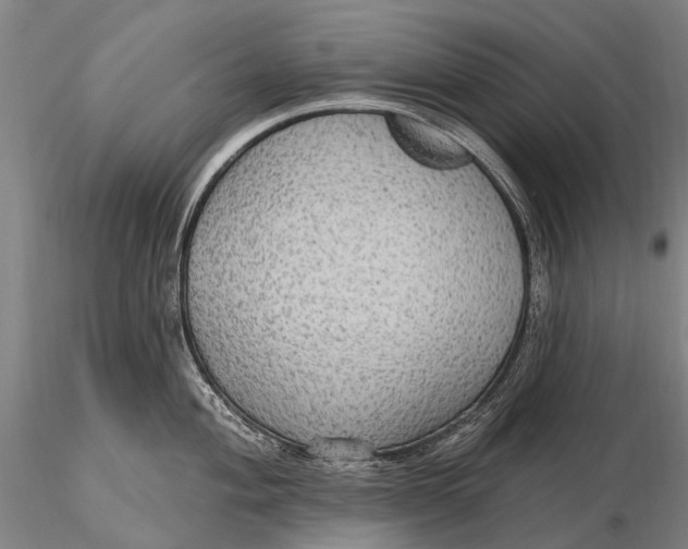 X0000115611004200912011546