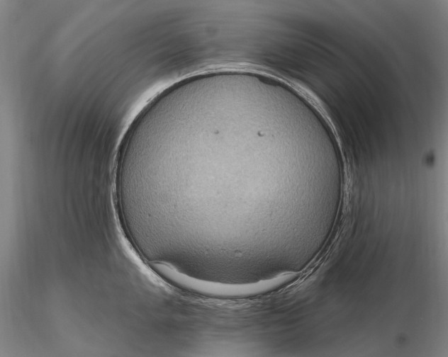 X0000115611005200912011546