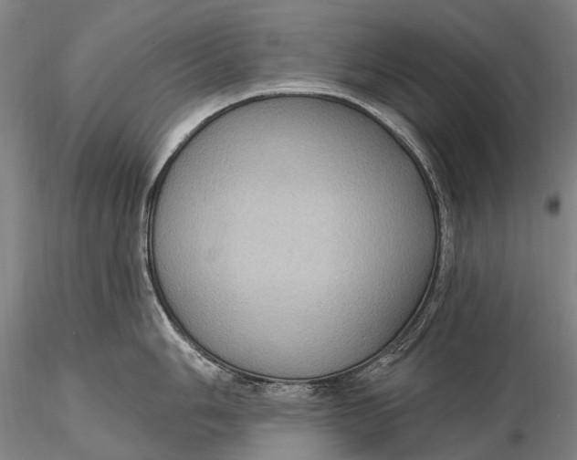 X0000115611006200912011546