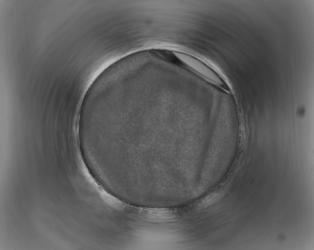 X0000115611007200912011546