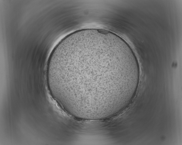 X0000115611008200912011546