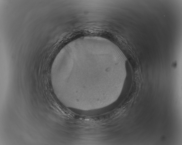 X0000115611009200912011545