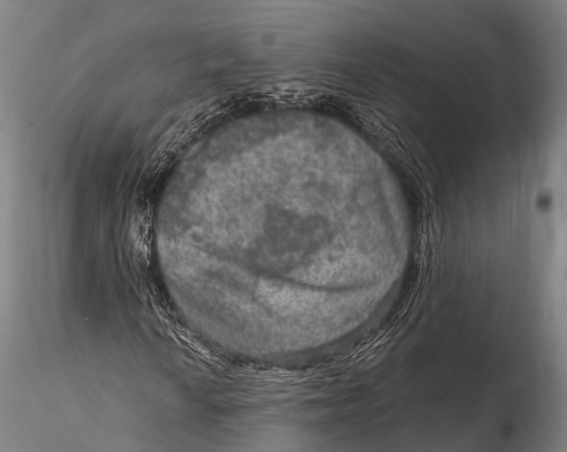 X0000115611010200912011545