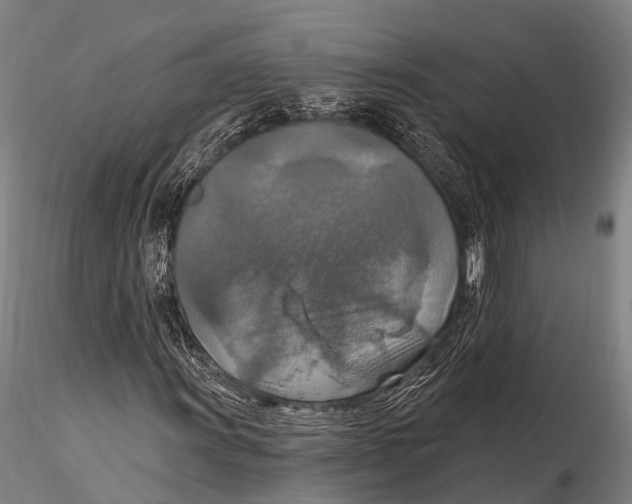 X0000115611011200912011545