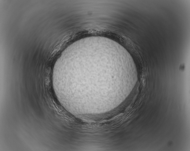 X0000115611012200912011545