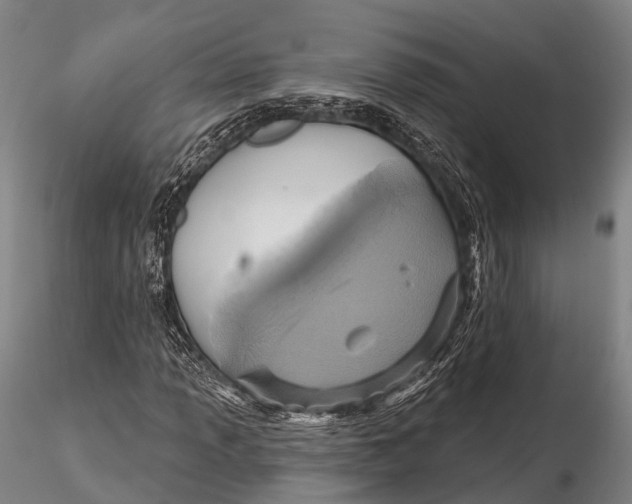 X0000115611013200912011545