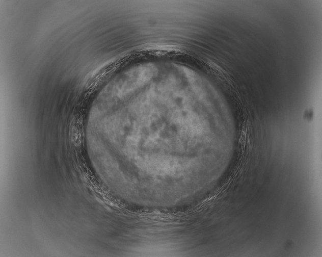 X0000115611014200912011545