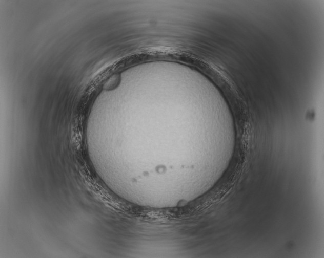 X0000115611015200912011545