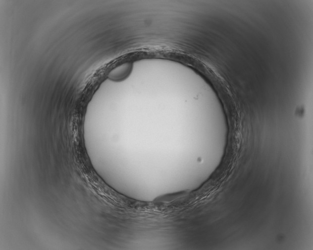 X0000115611016200912011545