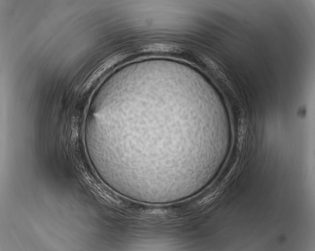 X0000115611017200912011545