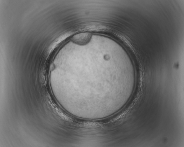X0000115611018200912011545
