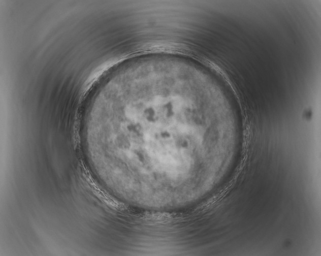X0000115611019200912011545