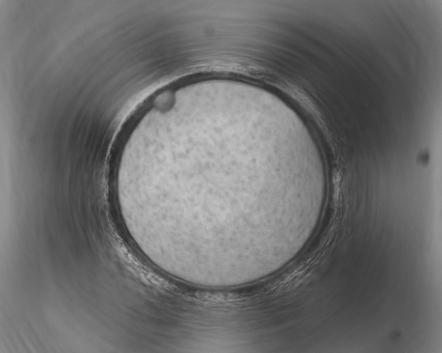 X0000115611020200912011545