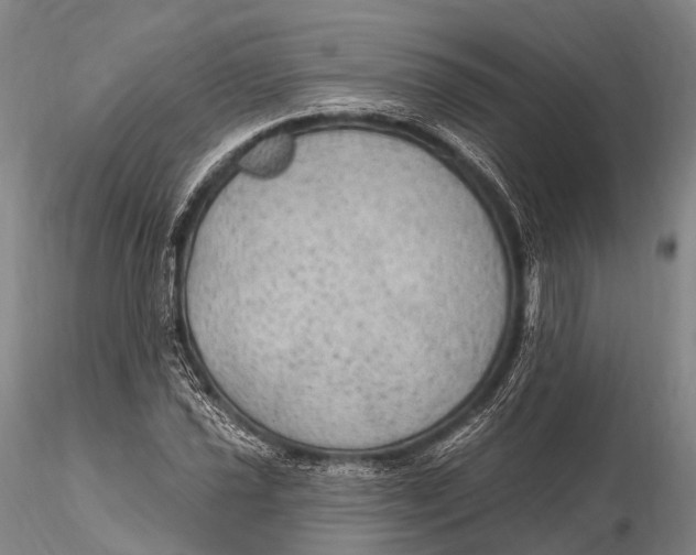 X0000115611021200912011545