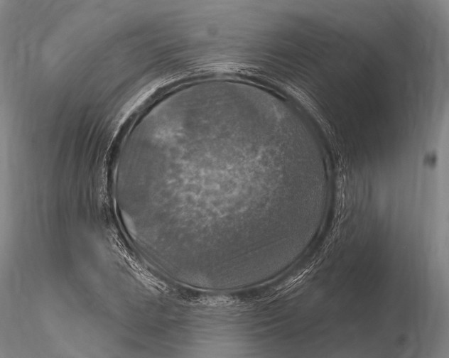 X0000115611023200912011545