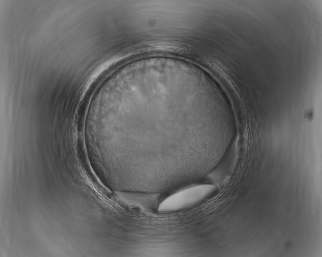 X0000115611024200912011545