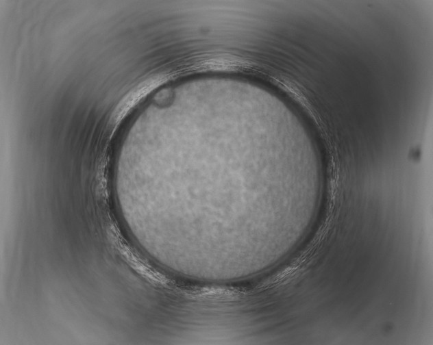 X0000115611026200912011545