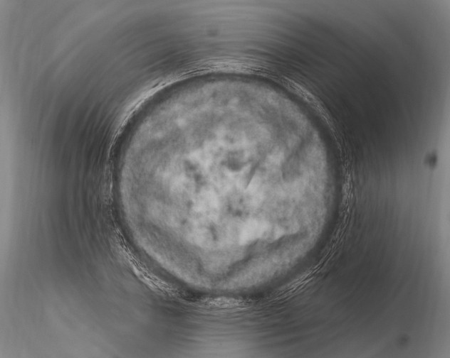 X0000115611027200912011545