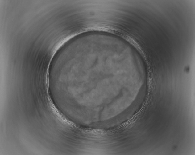 X0000115611028200912011546