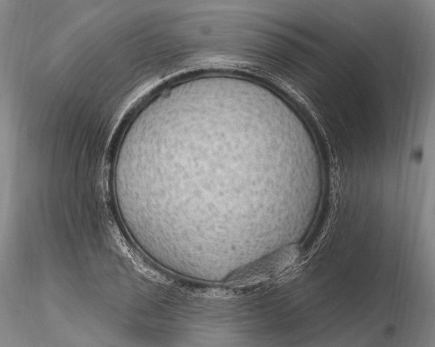 X0000115611029200912011546