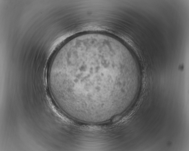 X0000115611030200912011546