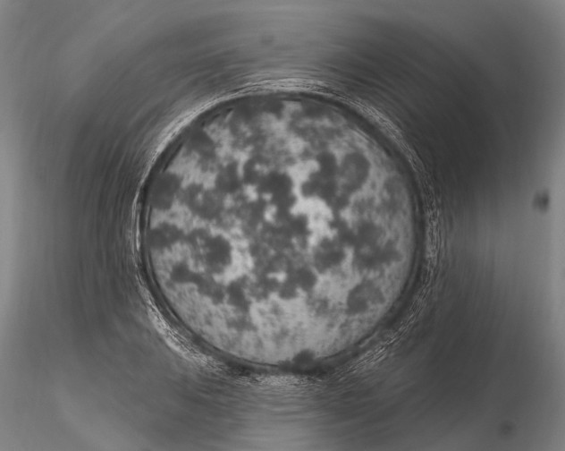 X0000115611031200912011546