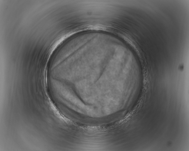 X0000115611032200912011546